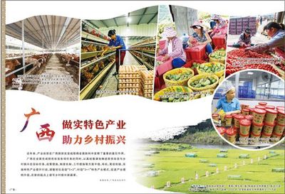 廣西 做實(shí)特色產(chǎn)業(yè)，激發(fā)農(nóng)產(chǎn)品生產(chǎn)活力，助推鄉(xiāng)村振興