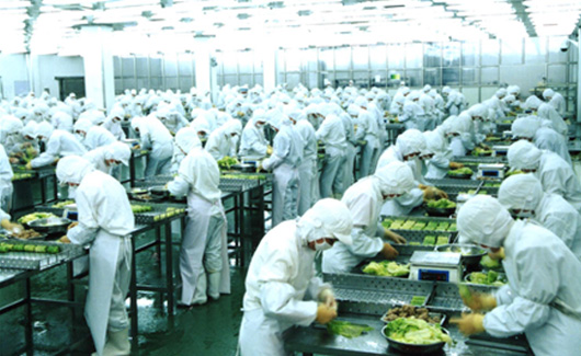 求索企業(yè)可持續(xù) 走進(jìn)龍大，探訪生態(tài)農(nóng)業(yè)產(chǎn)業(yè)鏈中的農(nóng)產(chǎn)品生產(chǎn)