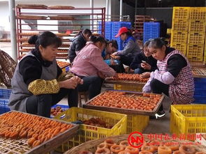 氣象山歌 唱響八桂 廣西站專題——農(nóng)產(chǎn)品的生產(chǎn)與天時(shí)共舞
